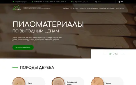 ЛЕС КАЗАНЬ